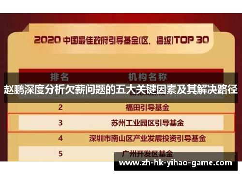 赵鹏深度分析欠薪问题的五大关键因素及其解决路径